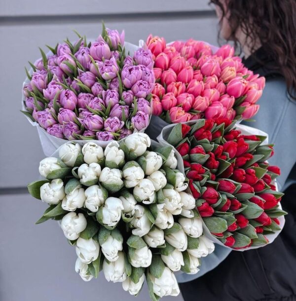 Armfuls Of Tulips