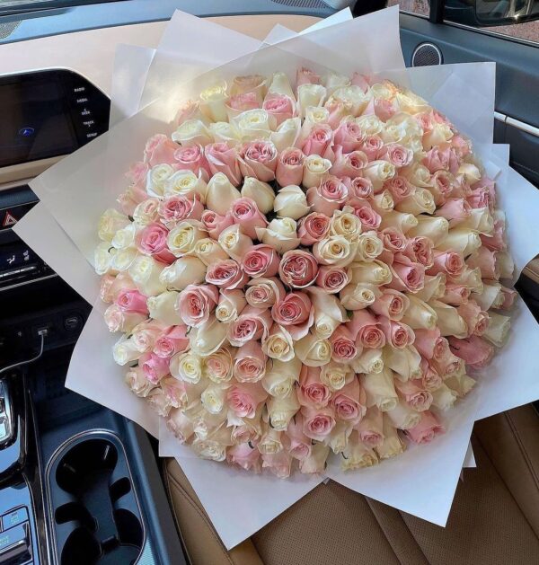Pink And White Illusion