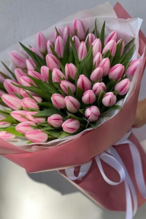 Pink Magic Of Tulips