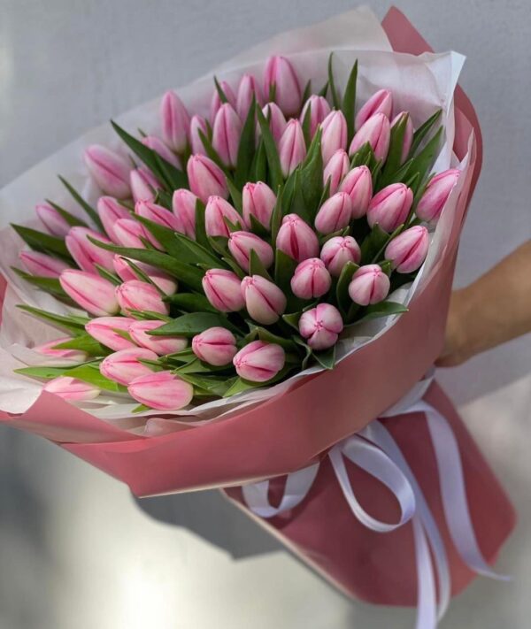 Pink Magic Of Tulips