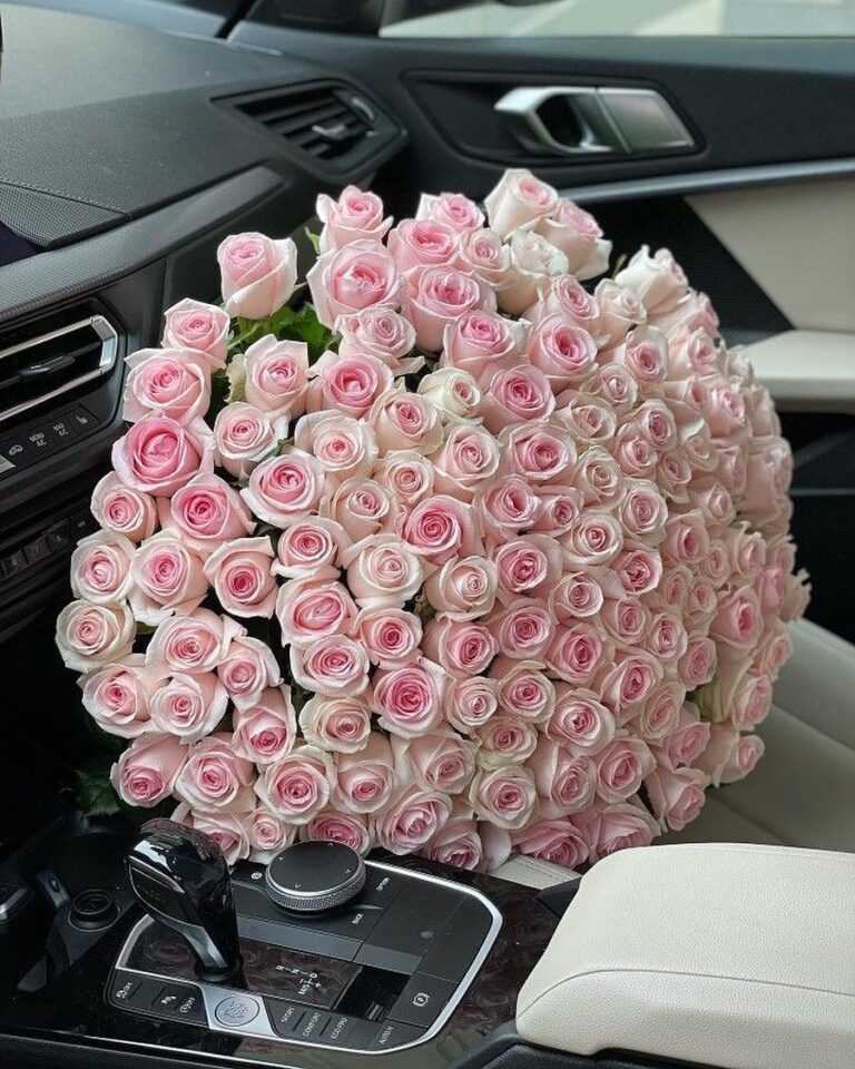 Pink White Elegance