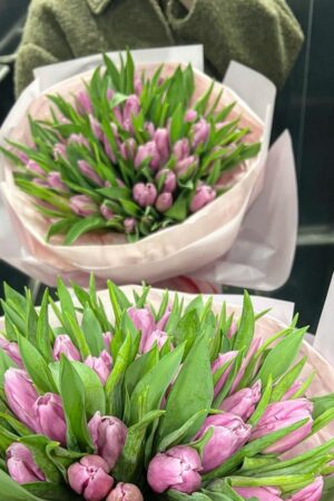 Tulip Lilac