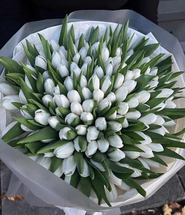 White Lightness