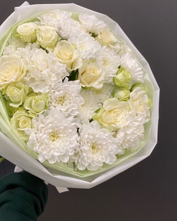 Hrizantema & Rose