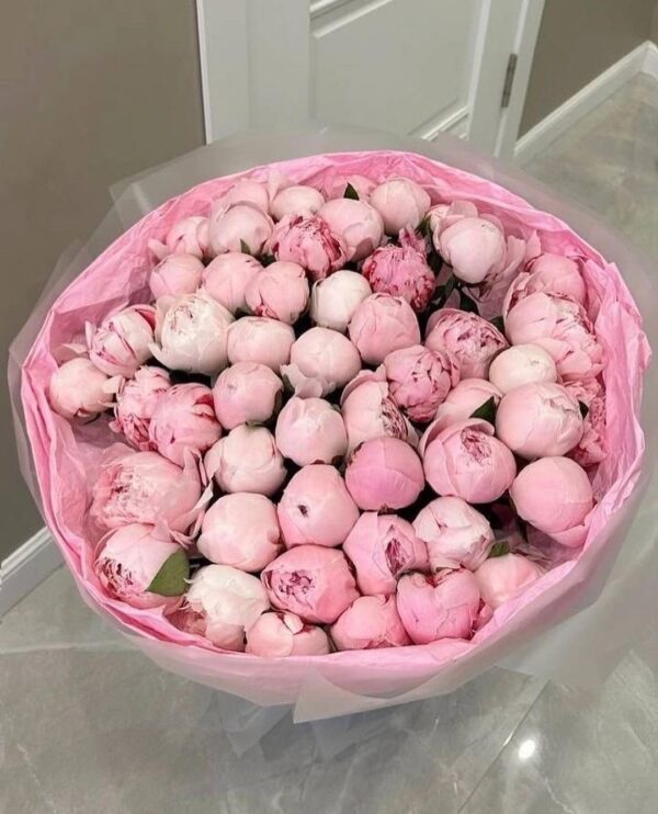 Pion pink